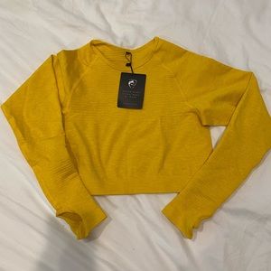 Alphalete Revival Long Sleeve Crop